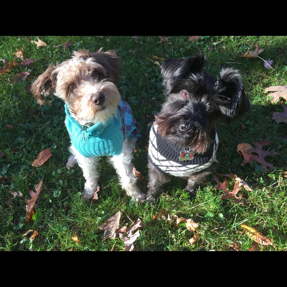 Meet your Posher, Hannah